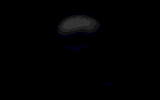 skulls19.gif